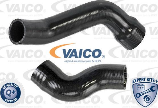 VAICO V24-0987 - Трубка, нагнетание воздуха abcparts.ee