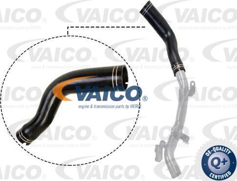 VAICO V24-0694 - Трубка, нагнетание воздуха abcparts.ee