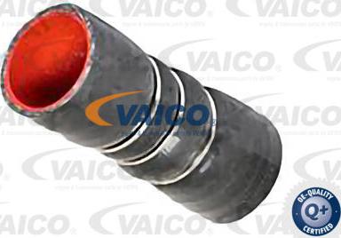 VAICO V24-0632 - Трубка, нагнетание воздуха abcparts.ee