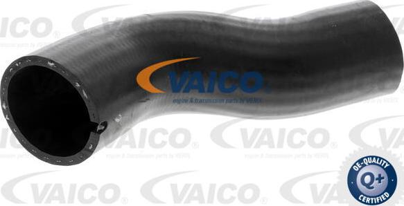VAICO V24-0721 - Трубка, нагнетание воздуха abcparts.ee