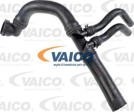 VAICO V25-1916 - Шланг радиатора abcparts.ee