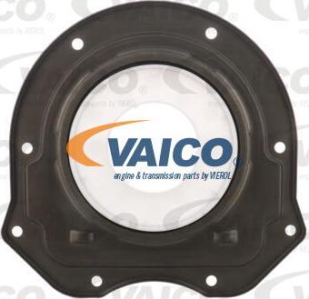 VAICO V25-1350 - Уплотняющее кольцо, дифференциал abcparts.ee