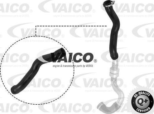 VAICO V21-0025 - Трубка, нагнетание воздуха abcparts.ee