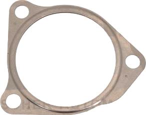 VEGAZ VD-259 - Уплотнительное кольцо, труба выхлопного газа abcparts.ee