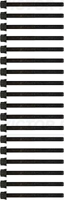 Victor Reinz 14-55072-01 - Комплект болтов головки цилиндра abcparts.ee