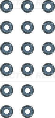 Victor Reinz 12-13109-01 - Комплект прокладок, стержень клапана abcparts.ee