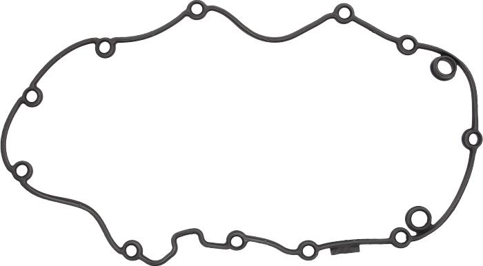 Victor Reinz 71-40482-00 - Прокладка, крышка головки цилиндра abcparts.ee