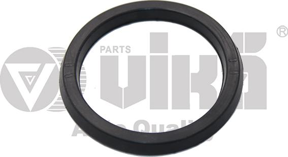 Vika 11030058601 - Прокладка, указатель уровня масла abcparts.ee