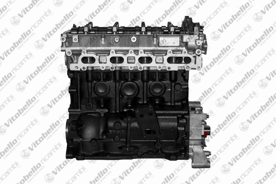 Vitobello Ricambi 1000241R - Двигатель в сборе abcparts.ee
