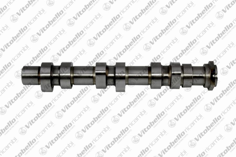 Vitobello Ricambi 1001652N - Распредвал abcparts.ee