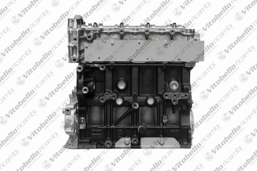 Vitobello Ricambi 1001734NO - Двигатель в сборе abcparts.ee