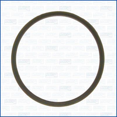 Wilmink Group WG1956197 - Прокладка, термостат abcparts.ee