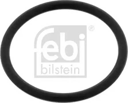 Wilmink Group WG1442933 - Шайба тепловой защиты, инжектор abcparts.ee