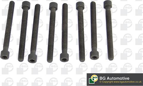 Wilmink Group WG1489967 - Комплект болтов головки цилиндра abcparts.ee