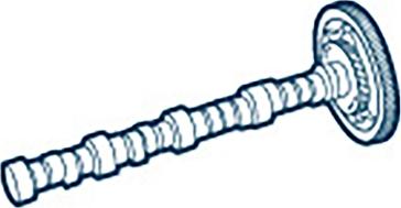 Wilmink Group WG1484834 - Распредвал abcparts.ee