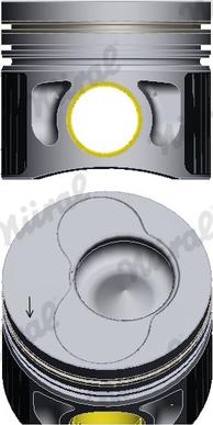 Wilmink Group WG1094081 - Поршень abcparts.ee