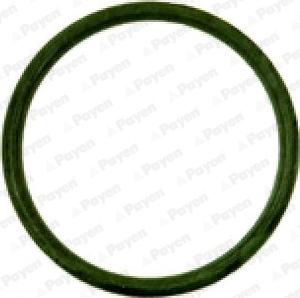 Wilmink Group WG1090692 - Прокладка, впускной коллектор abcparts.ee