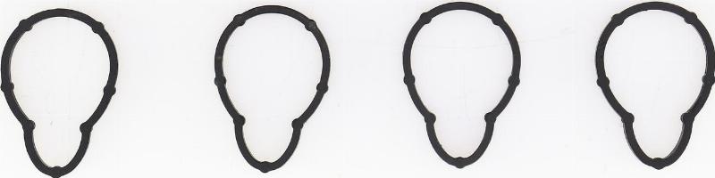 Wilmink Group WG1083846 - Прокладка, впускной коллектор abcparts.ee