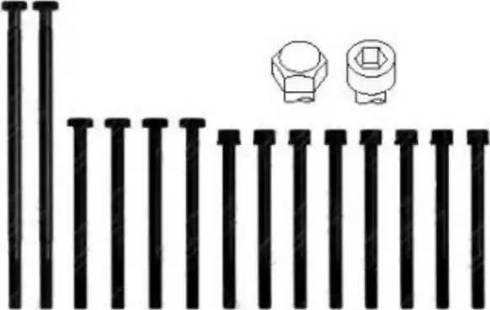 Wilmink Group WG1146005 - Комплект болтов головки цилиндра abcparts.ee