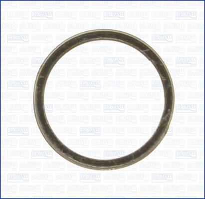 Wilmink Group WG1163681 - Уплотнительное кольцо, труба выхлопного газа abcparts.ee