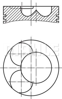 Wilmink Group WG1104698 - Поршень abcparts.ee