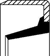 Wilmink Group WG1220308 - Уплотняющее кольцо, дифференциал abcparts.ee