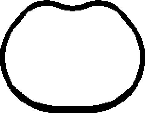 Wilmink Group WG1765344 - Прокладка, впускной коллектор abcparts.ee