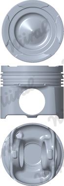 Wilmink Group WG2566381 - Поршень abcparts.ee