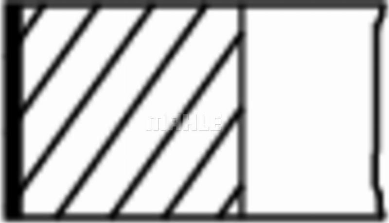 Wilmink Group WG2578561 - Комплект поршневых колец abcparts.ee