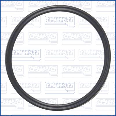 Wilmink Group WG2079874 - Прокладка abcparts.ee