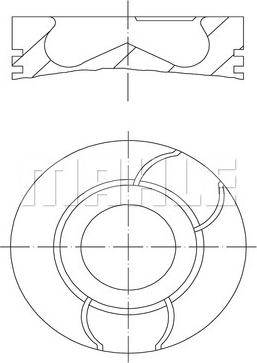 Wilmink Group WG2191753 - Поршень abcparts.ee
