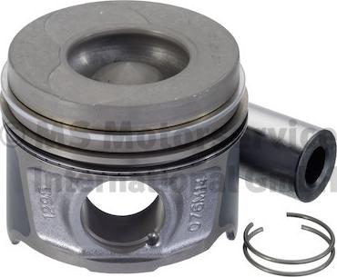 Wilmink Group WG2146739 - Поршень abcparts.ee
