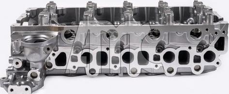 Wilmink Group WG2112787 - Головка цилиндра abcparts.ee