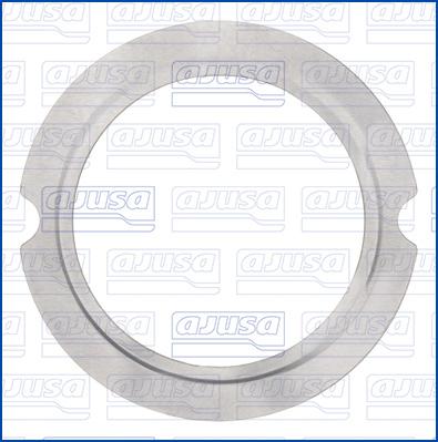 Wilmink Group WG2186338 - Прокладка abcparts.ee