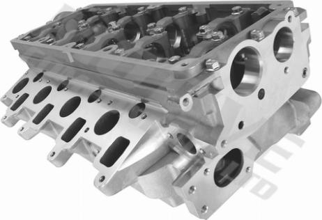 Wilmink Group WG2122527 - Головка цилиндра abcparts.ee
