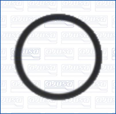 Wilmink Group WG2364970 - Уплотнительное кольцо, инжектор abcparts.ee