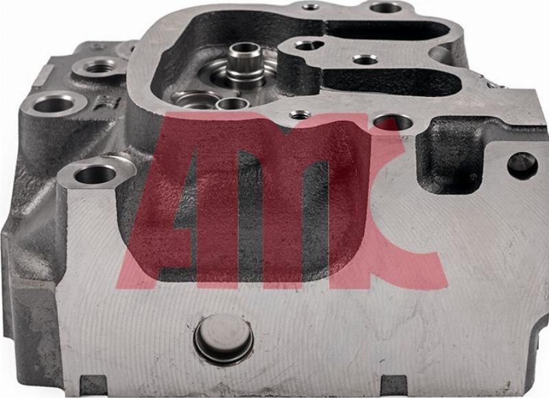 Wilmink Group WG2339766 - Головка цилиндра abcparts.ee