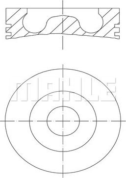 Wilmink Group WG2201144 - Поршень abcparts.ee