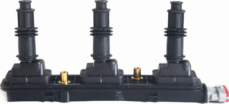 WXQP 560953 - Катушка зажигания abcparts.ee