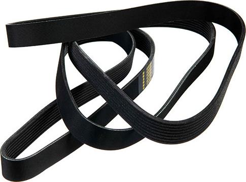 ZENTPARTS Z23512 - Поликлиновой ремень abcparts.ee