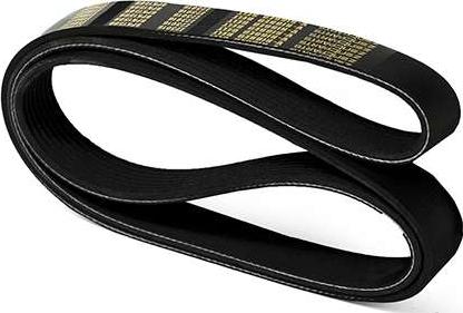 ZENTPARTS Z23016 - Поликлиновой ремень abcparts.ee