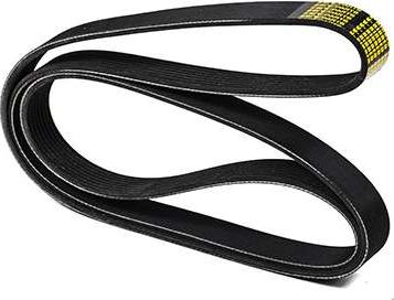 ZENTPARTS Z23082 - Поликлиновой ремень abcparts.ee