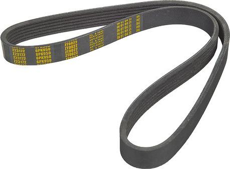 ZENTPARTS Z23172 - Поликлиновой ремень abcparts.ee